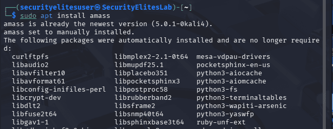 Install Amass on Kali Linux Step 2 - Install Amass