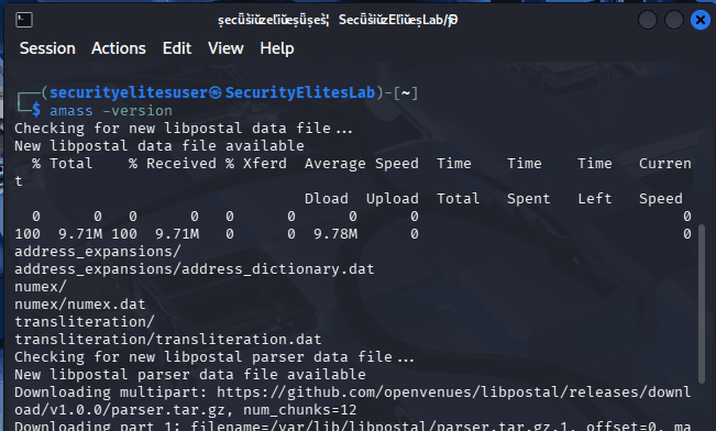 Install Amass on Kali Linux Step 3 - Verify Installation