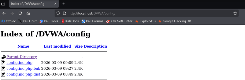 directory bruteforce guide investigating discovered hidden website directories
