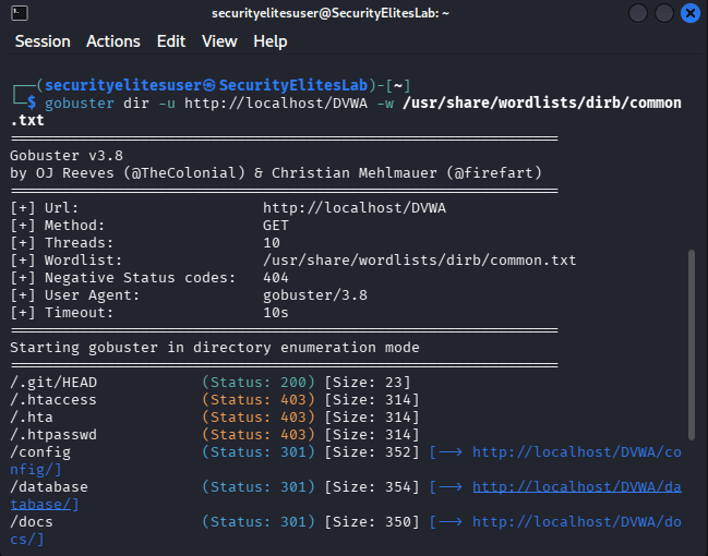 directory bruteforce guide analyzing gobuster scan results showing hidden directories