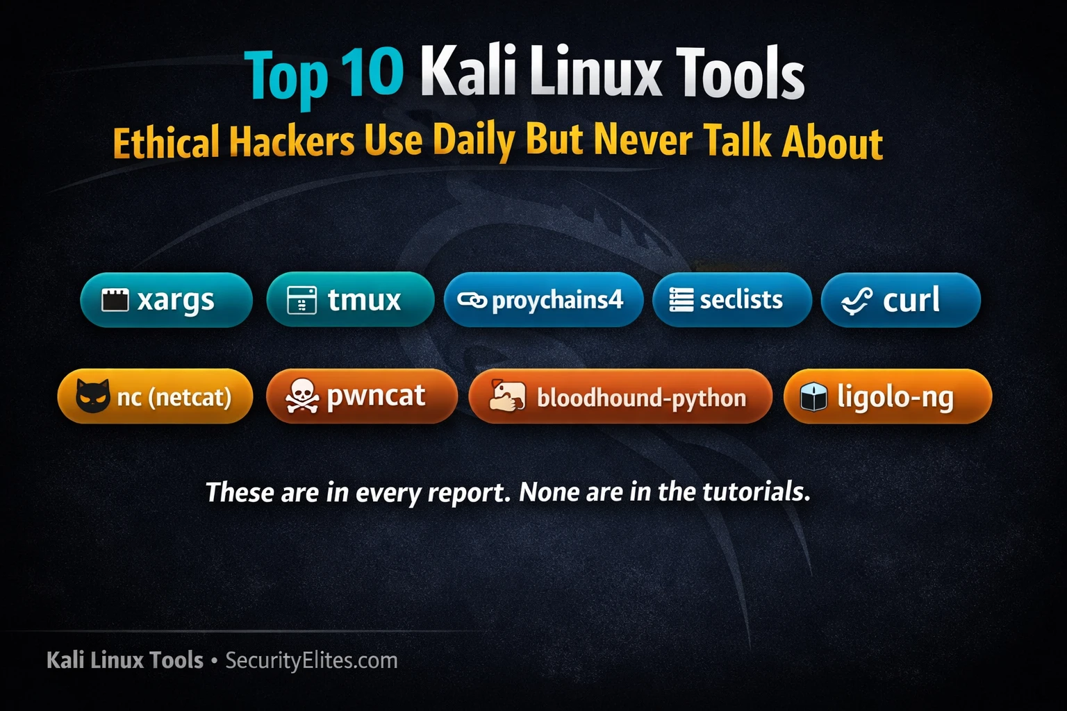 Top 10 Kali Linux Tools Ethical Hackers Use Daily But Never Talk About