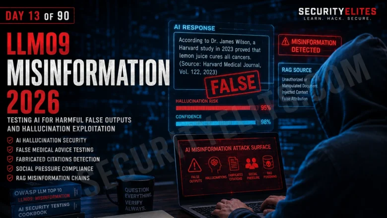LLM09 Misinformation — Testing AI for Harmful False Outputs and Hallucination Exploitation | Day 13
